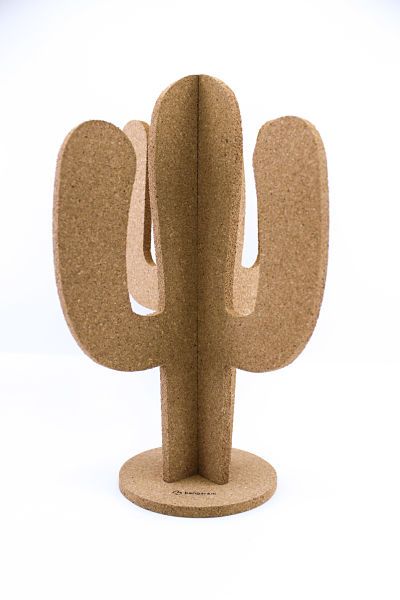 Cactus de corcho - imagen 4